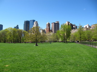 Central Park in Spring