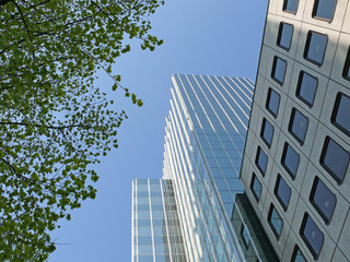 Fototapeta premium Hochhaus in Frankfurt