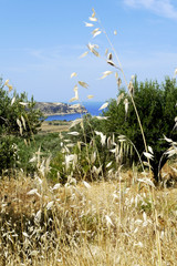 Scenic view to the coast on Crete