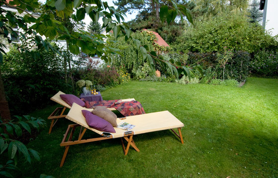 garden summer