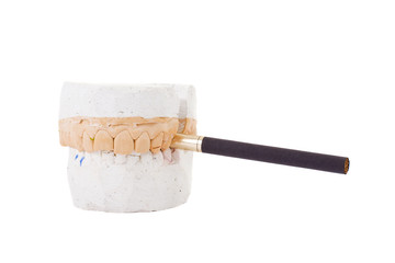 teeth plaster cast. Close up on white background