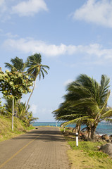 Fototapeta na wymiar malecon by caribbean sea corn island nicaragua