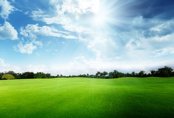 green field and trees
