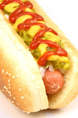 hot dog