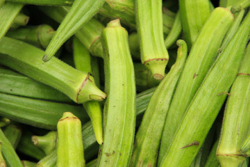 Obraz premium Gemüse