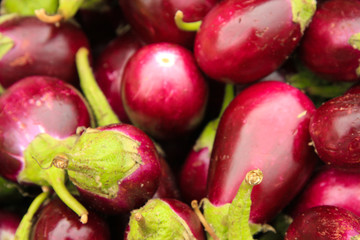 Aubergine