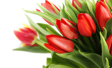 Naklejka premium Bouquet of tulip