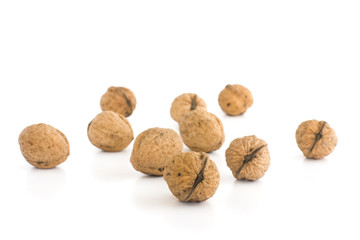 Group of walnuts. Isolated on white background.