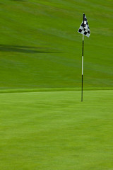 Smooth golf putting green with flag