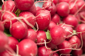 radish
