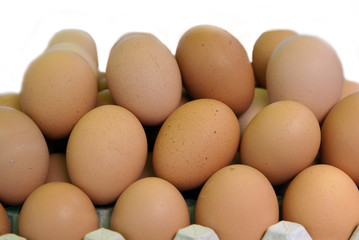 eggs