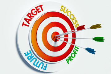 Target, success, profit, future
