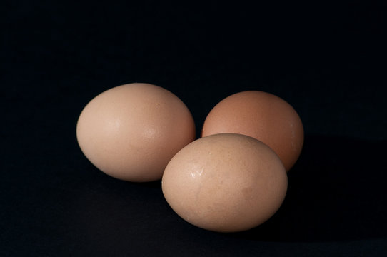 uova di gallina