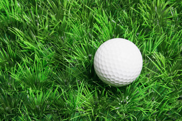 Golf Ball on Grass