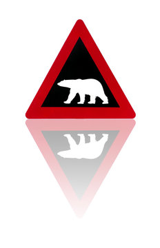 Polar bears, watch out!