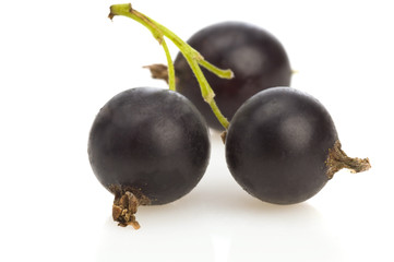 black currants