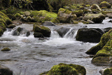 Fototapeta na wymiar Asturii rzeki.
