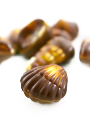 Chocolate seashells
