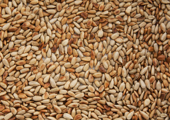 sunflower seeds