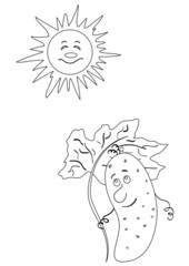 Cucumber and the sun, monochrome