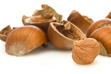 hazel nuts