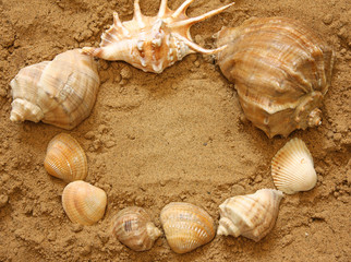 Vacations background