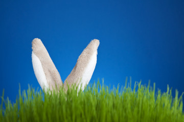 Toy stuffed bunny rabbit hidden in grass