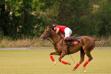 Polo player hitting ball back towards his own goal end
