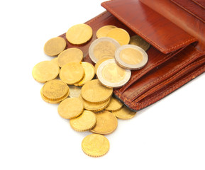coins with   wallet