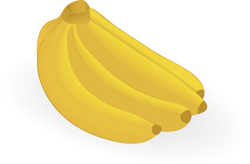 vector banana isolated on an white background