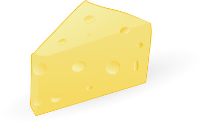 fit of cheese isolated on an white background