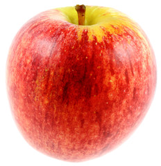 pomme gala rouge, fond blanc