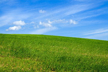Green field with blue sky and clouds in the background