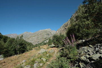 Fototapeta na wymiar Massif des Ecrins,Alpes