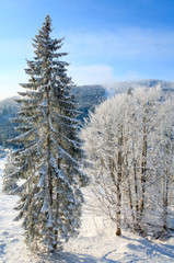 winter mountain landscape