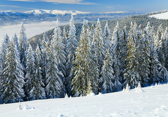 winter mountain landscape