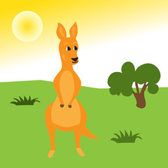 Kangaroo