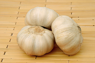 Garlic