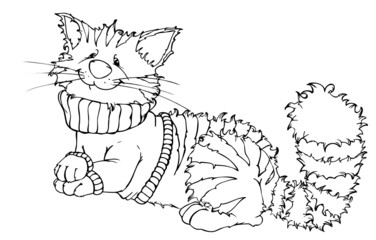 Katze, Kater, Pullover, Pulli, Frottee