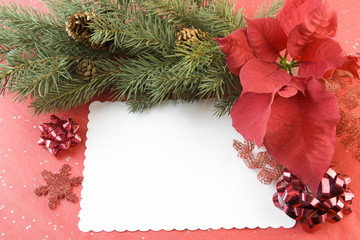 poinsettia fir branch Christmas card
