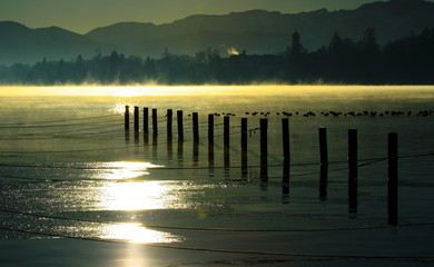 Starnberger See morgens