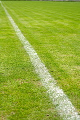 Fototapeta premium Soccer Line