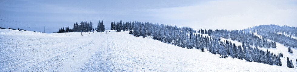 blue mountain panorama