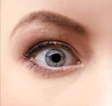 Attractive image of a female eye