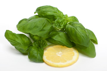 Basilikum mit Zitrone