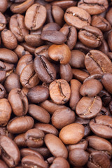 coffee beans