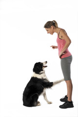 Photos Illustrations Et Vidéos De Tenir La Patte