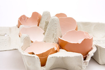 Egg Shells