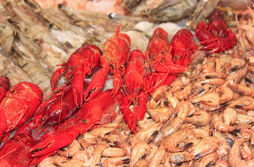 leckere Krabben, nahaufnahme