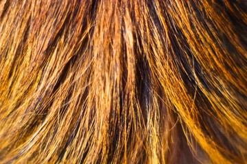 platic texture